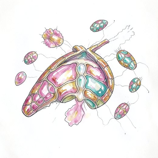 Dispersal of Entanglement